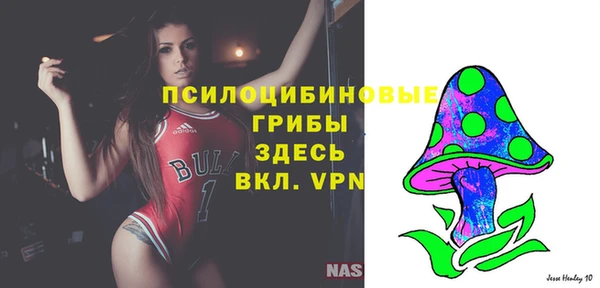 сатива Алексин