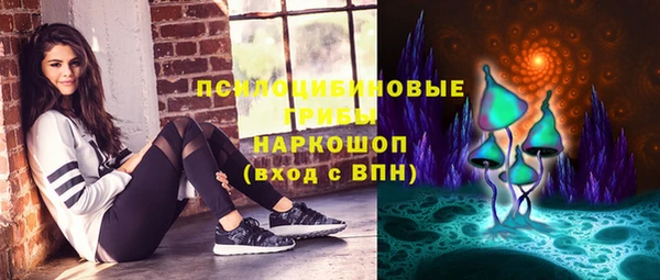сатива Алексин