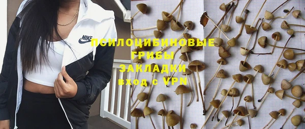 сатива Алексин
