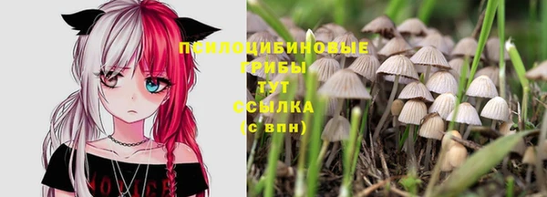 сатива Алексин